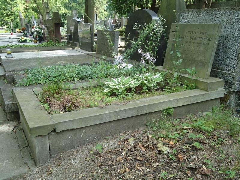 Zdjęcie grobu Jerzy Bekanowski (1)