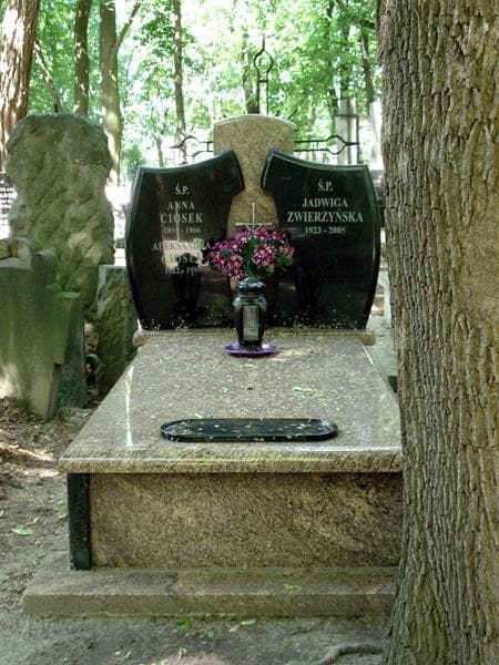 Zdjęcie grobu: Anna Ciosek