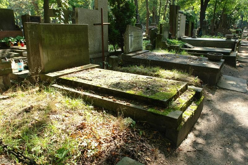 Zdjęcie grobu Maria Wołoszowska (1)