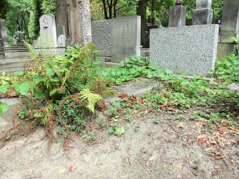 Zdjęcie grobu Jan Jeżewski (1)