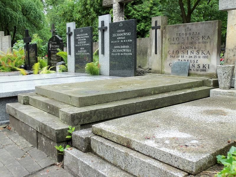 Zdjęcie grobu Tadeusz Ciosiński (1)