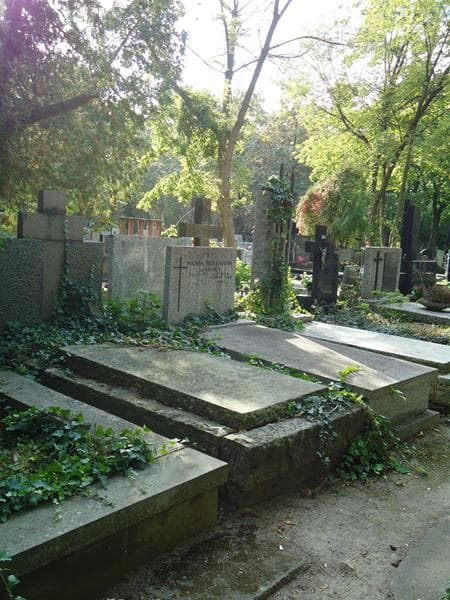 Zdjęcie grobu Henryk Stryjewski (2)