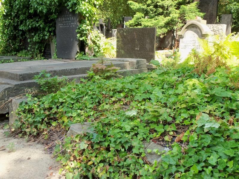 Zdjęcie grobu Gabryel Kazimierz Lubicz - Zaleski (1)