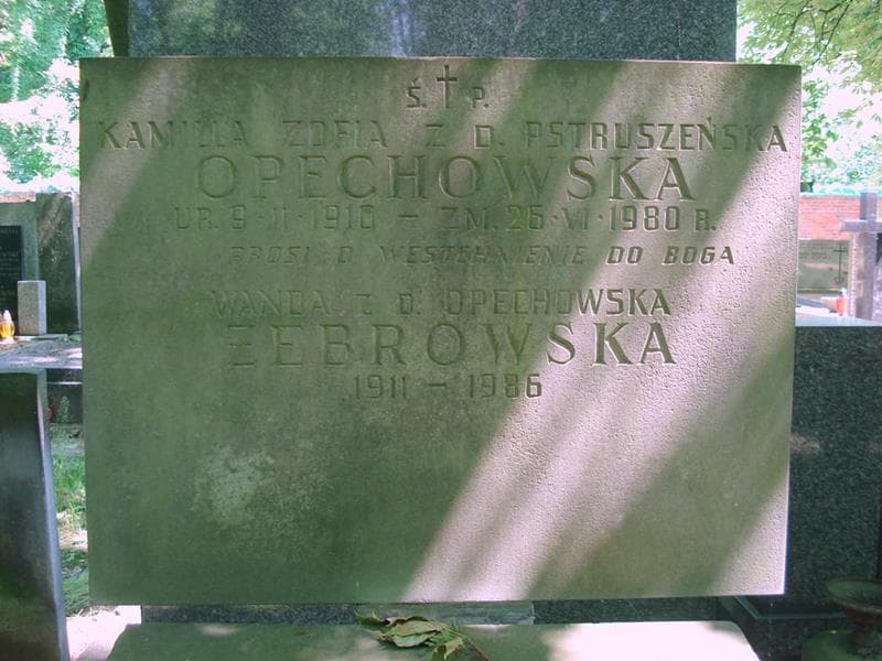 Zdjęcie grobu Jerzy Opęchowski (2)