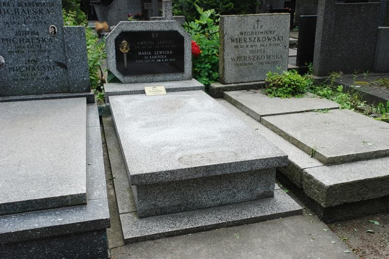 Zdjęcie grobu Antoni Lewicki (1)