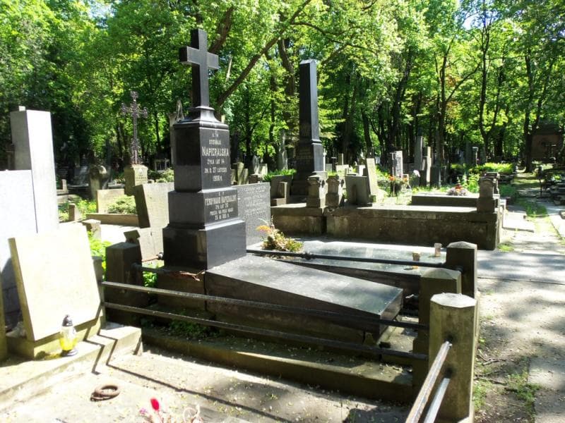 Zdjęcie grobu Stefanja Napieralska (1)