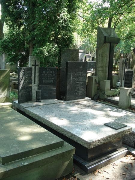 Zdjęcie grobu Konstanty Dąbrowski (1)