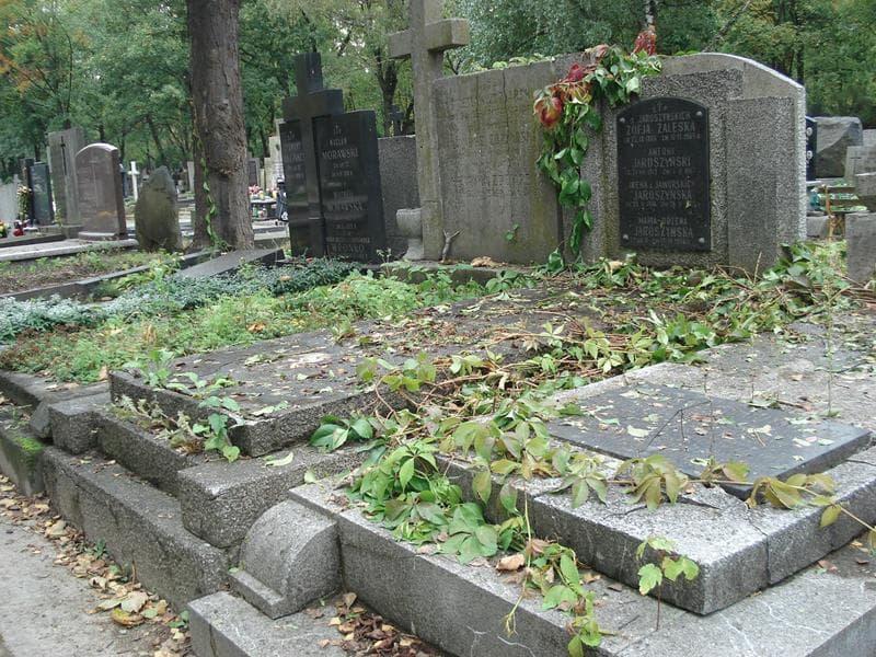 Zdjęcie grobu Irena Jaroszyńska (1)