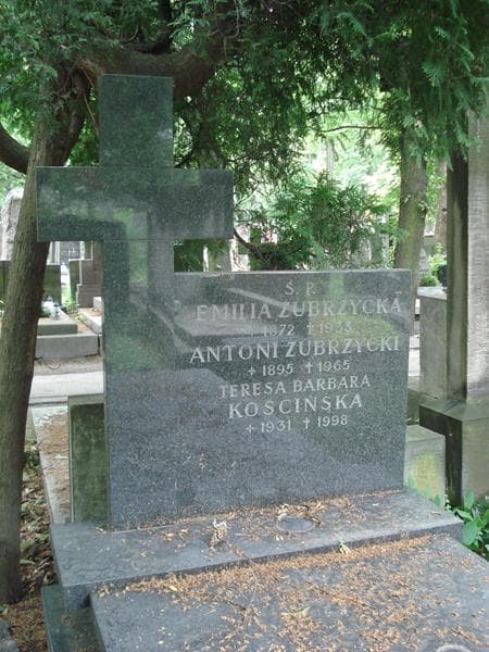 Zdjęcie grobu Teresa Barbara Kościńska (2)