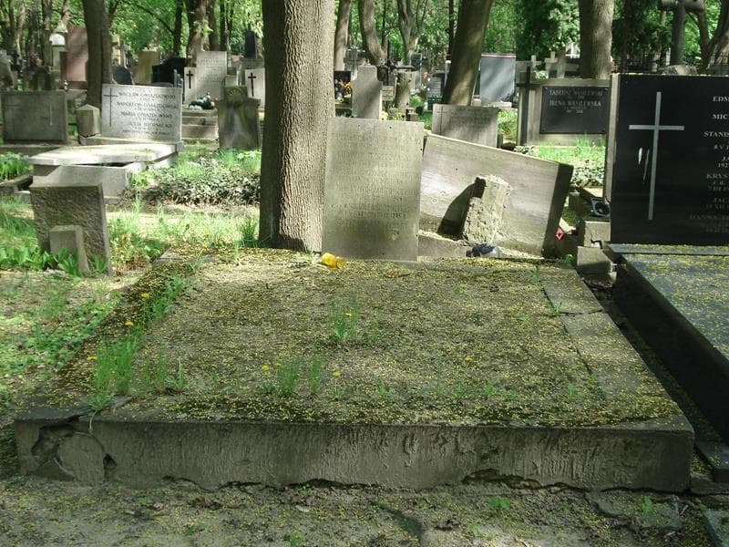 Zdjęcie grobu: Ludwik Symforjan Tomczyński