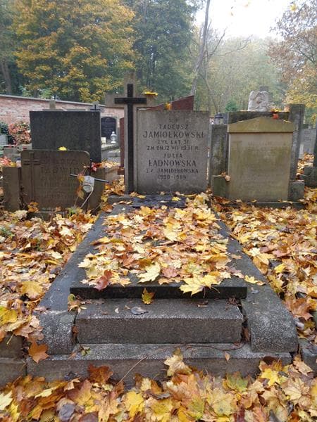Zdjęcie grobu Tadeusz Jamiołkowski (1)
