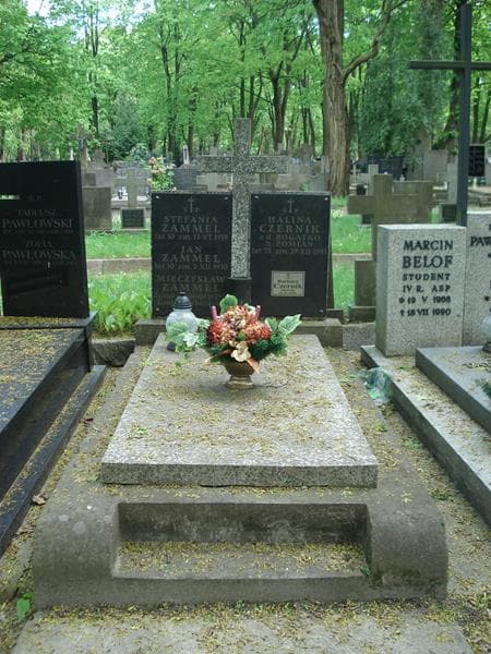 Zdjęcie grobu: Halina Czernik