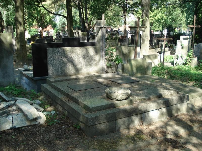 Zdjęcie grobu Stanisław Krzyżanowski (1)