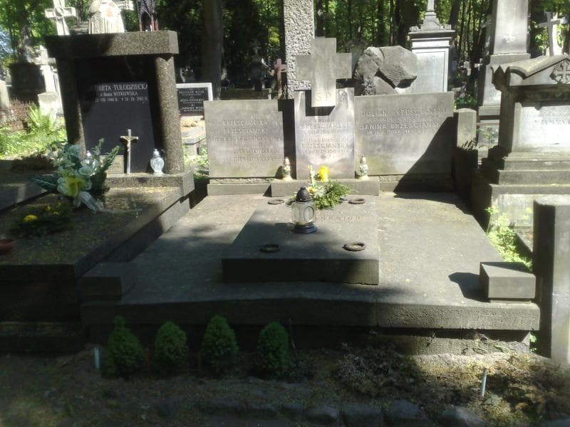 Zdjęcie grobu: Józef Brześciański