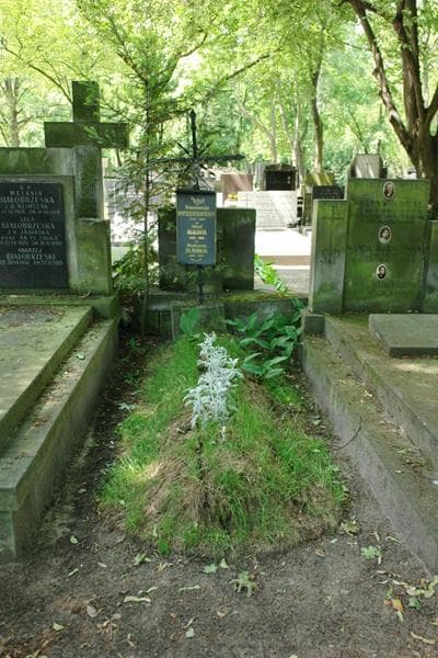 Zdjęcie grobu Konstancja Myszkowska (1)