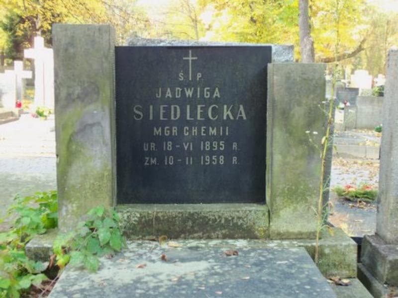 Zdjęcie grobu Jadwiga Siedlecka (2)
