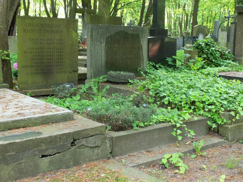 Zdjęcie grobu Klemens Kłopotowski (1)