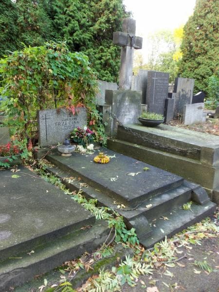 Zdjęcie grobu Stanisława Trzeciak (1)