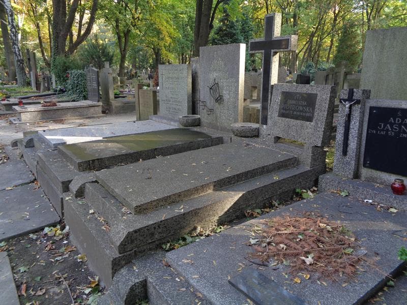 Zdjęcie grobu: Franciszka Piotrowska