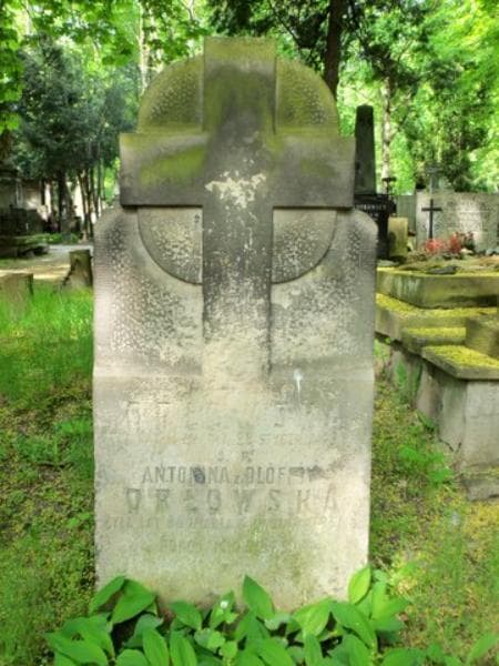 Zdjęcie grobu Antonina Orłowska (2)