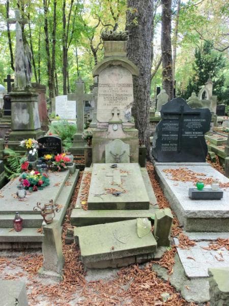 Zdjęcie grobu: Bronisław Roszewski