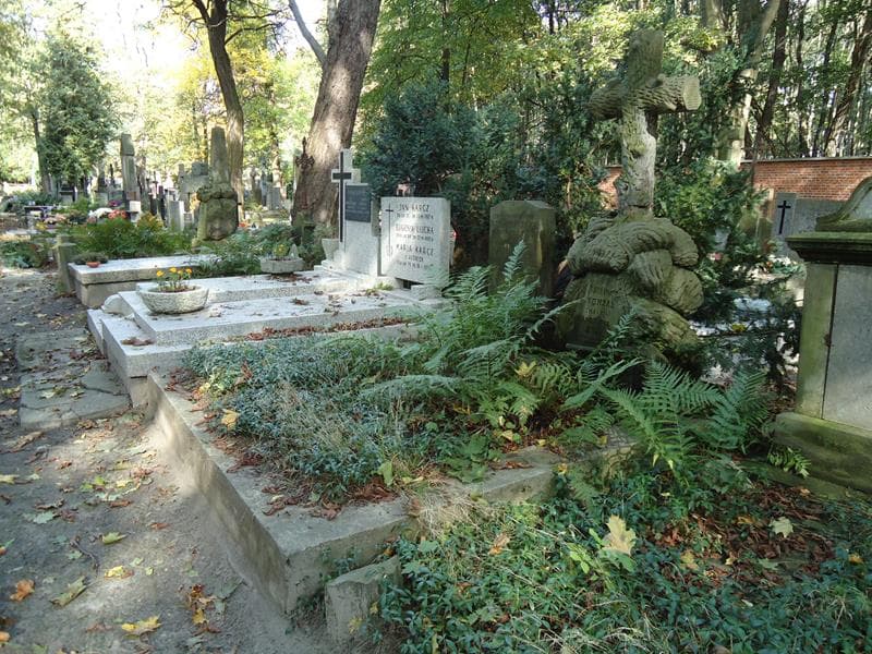 Zdjęcie grobu Feliks Jaskólski (1)