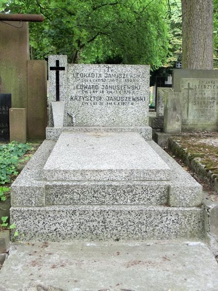 Zdjęcie grobu: Edward Januszewski