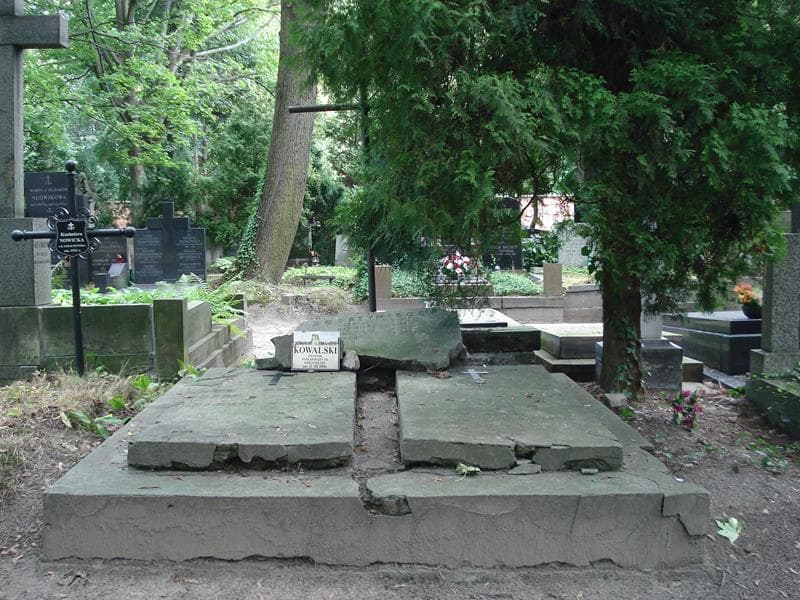 Zdjęcie grobu: Józefat Dobrzyniecki