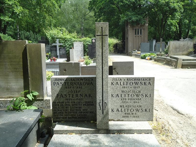 Zdjęcie grobu Józef Pasternak (2)