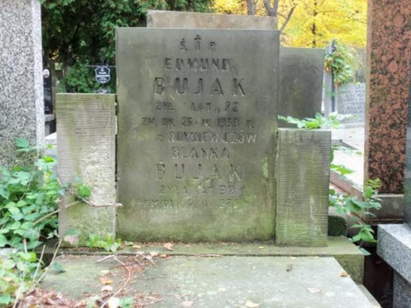 Zdjęcie grobu Edmund Bujak (2)