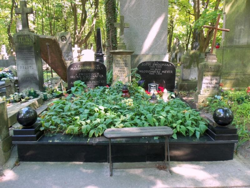 Zdjęcie grobu Stanisława Żyniewicz (1)