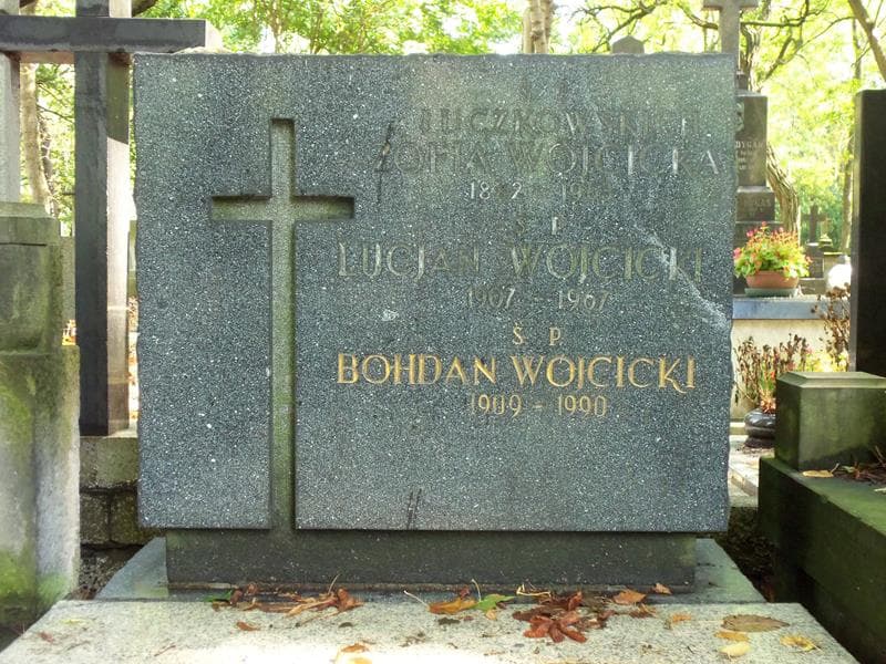 Zdjęcie grobu Zofia Wójcicka (2)