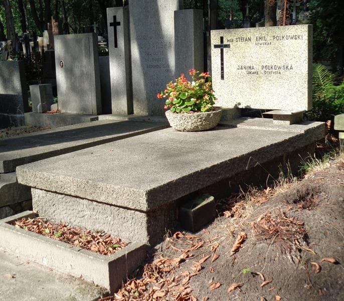 Zdjęcie grobu: Maria Polkowska