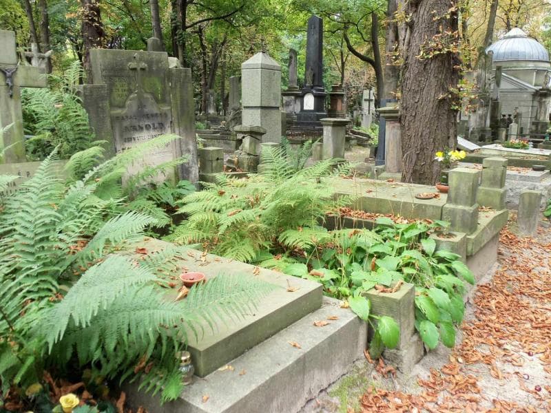 Zdjęcie grobu Rafał Henryk Arnold (1)