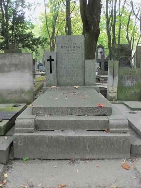 Zdjęcie grobu: Wacław Jerzy Przyjemski