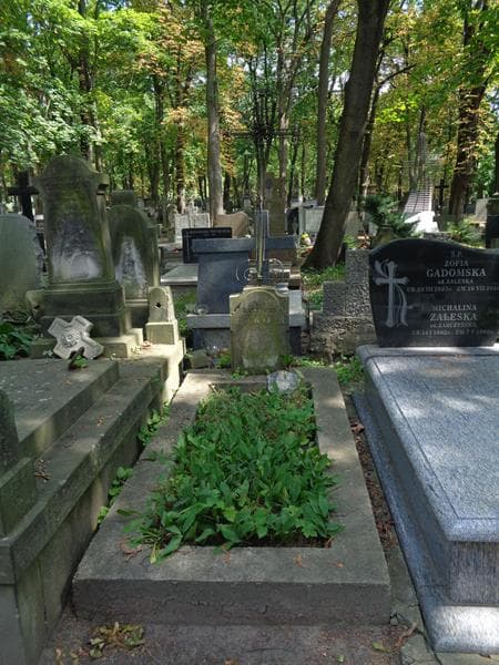 Zdjęcie grobu: Aleksander Awin
