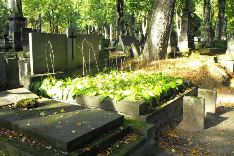Zdjęcie grobu Ludwik Wanatowicz (1)