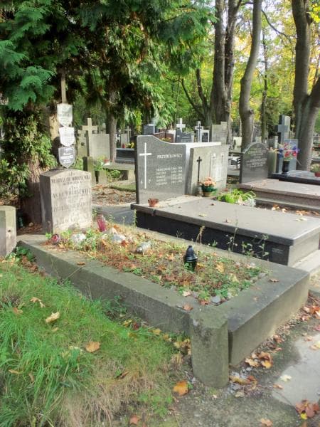 Zdjęcie grobu Anna Wołosewicz (1)