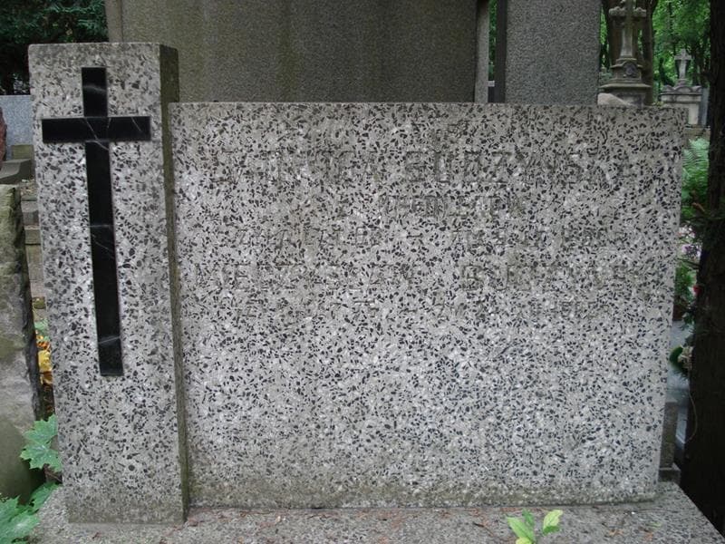Zdjęcie grobu Mieczysław Budzyński (2)