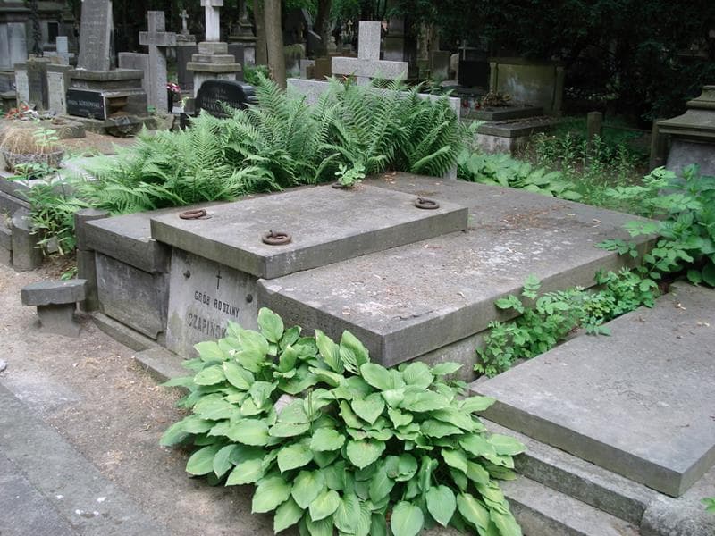 Zdjęcie grobu Wiktor Czapiński (2)