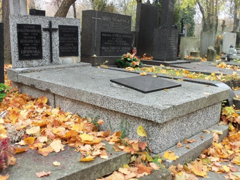 Zdjęcie grobu Eugenia Lipowska (1)