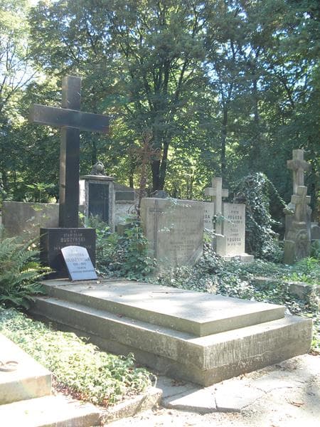 Zdjęcie grobu Stanisław Budzyński (1)