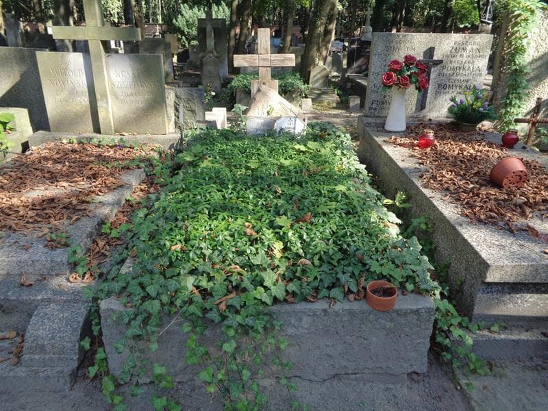 Zdjęcie grobu Józef Olszewski (1)
