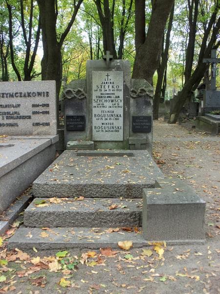 Zdjęcie grobu: Wiktor Bogusiński