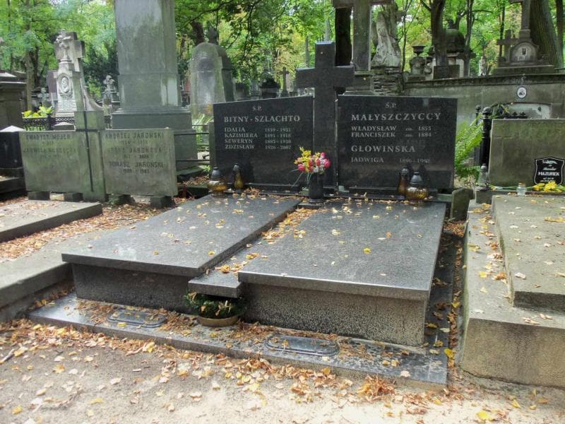 Zdjęcie grobu: Jadwiga Głowińska
