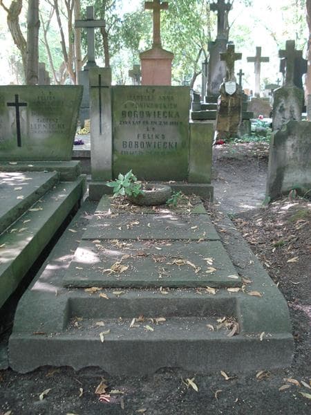 Zdjęcie grobu: Feliks Borowiecki