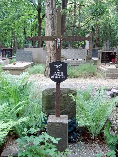 Zdjęcie grobu Zygmunt Tarnowska (1)