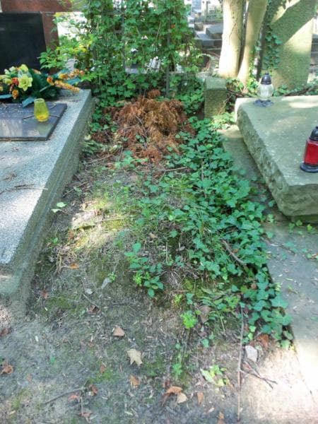Zdjęcie grobu: Pole Grobowe