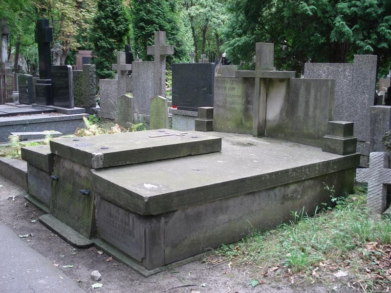 Zdjęcie grobu: Tadeusz Lucjan Czerepiński