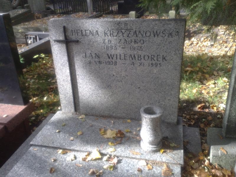 Zdjęcie grobu Helena Krzyżanowska (1)